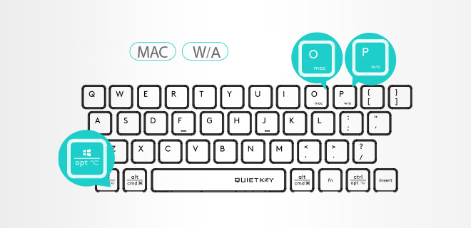 FBX55C: Operating System Swap