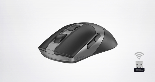 FG50S Plus: 2.4GHz wireless connection